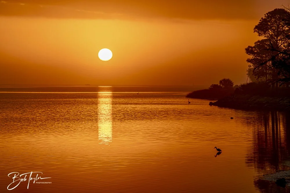 20250131-SASP Sunrises -1.jpeg