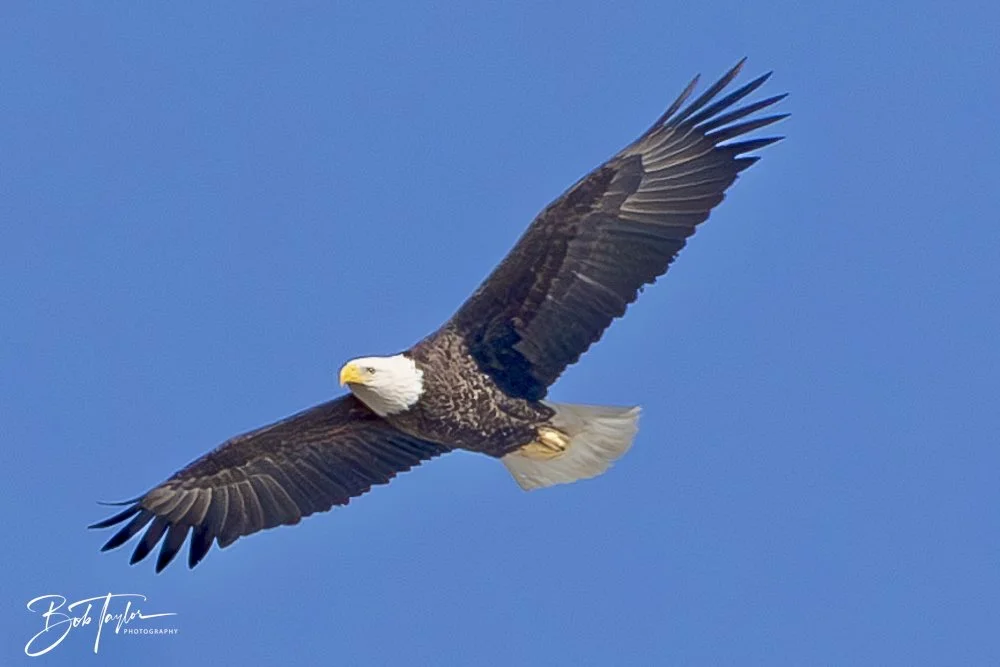 20250104-SASP -16.jpeg