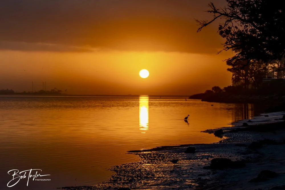 20250131-SASP Sunrises -3.jpeg