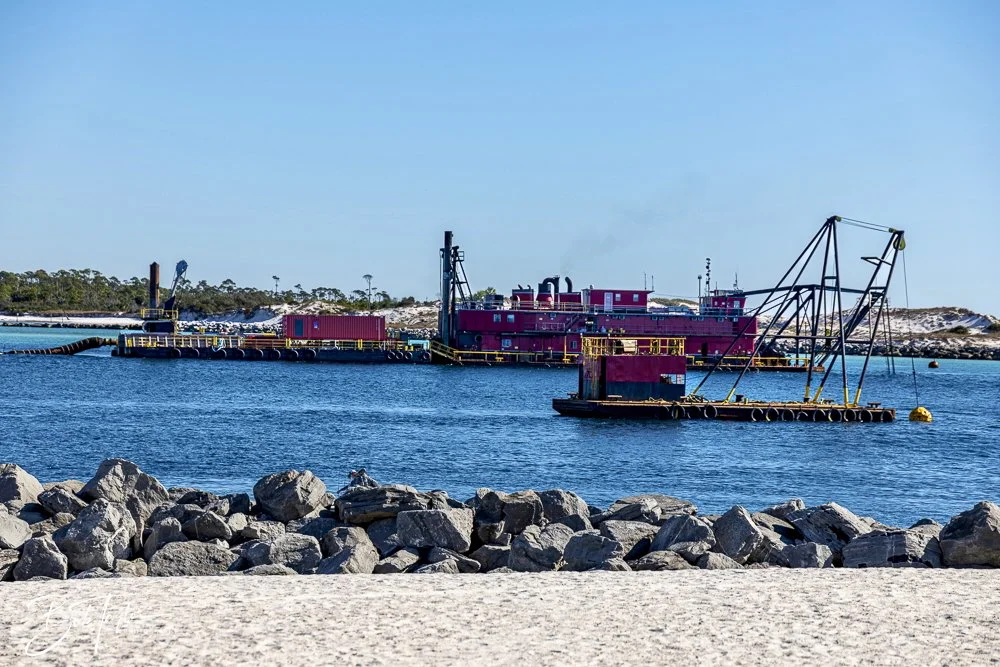 20250104-SASP -14.jpeg