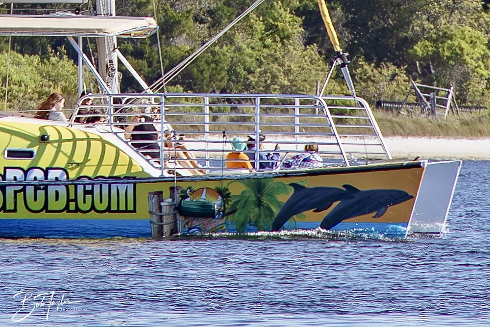 20250410-SASP Shoreline -6.jpeg