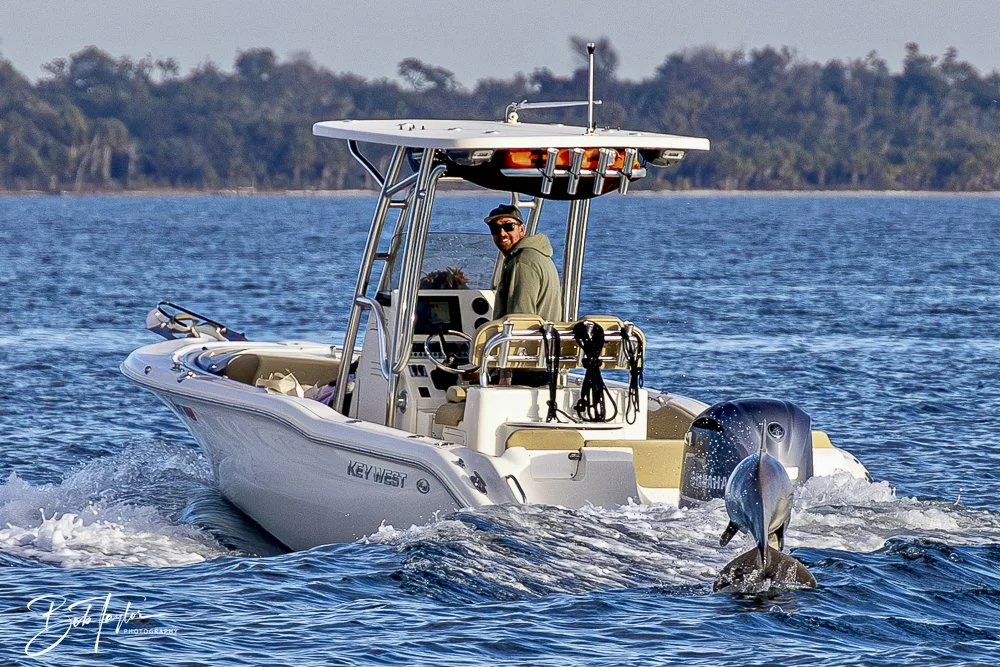 20250201-SASP Dolphins -6.jpeg