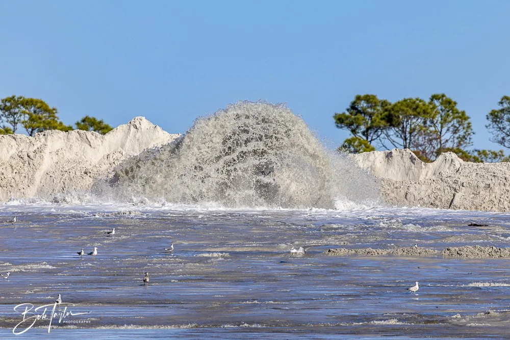 20250104-SASP -18.jpeg