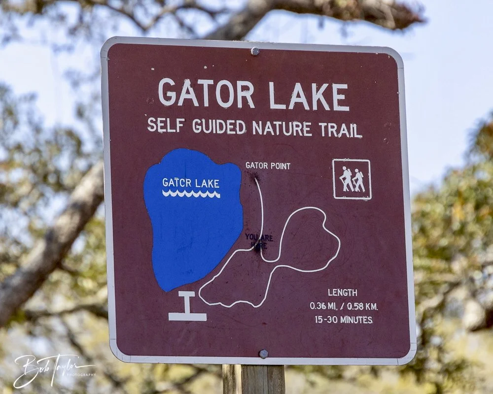 20250410-SASP Gator Lake -28.jpeg