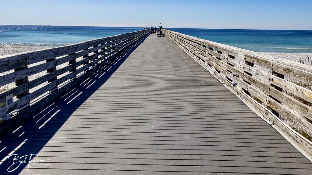 20250104-SASP -2.jpeg