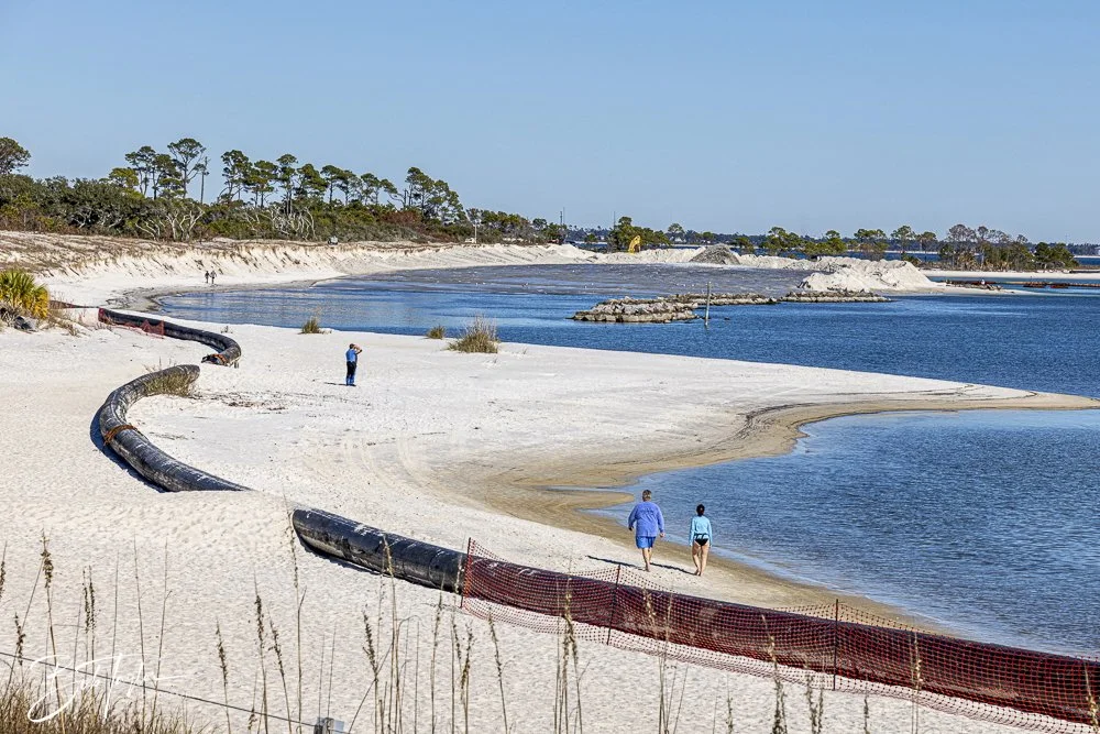 20250104-SASP -12.jpeg