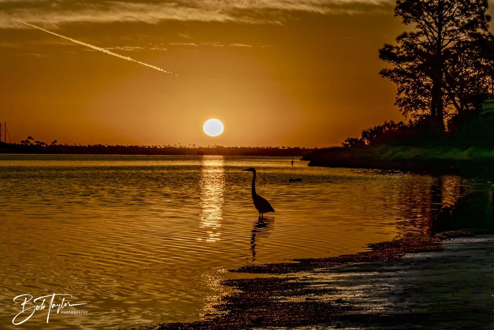 20250201-SASP Sunrises -11.jpeg