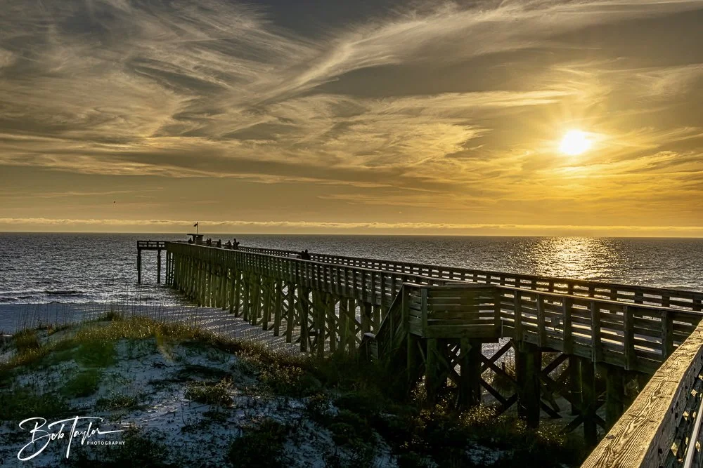 20250130-SASP Sunset -1.jpeg