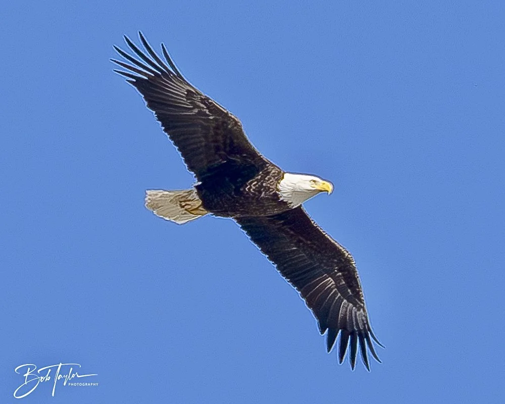 20250104-SASP -17.jpeg