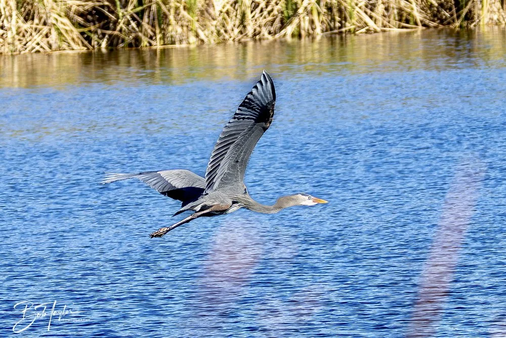 20250104-SASP -21.jpeg