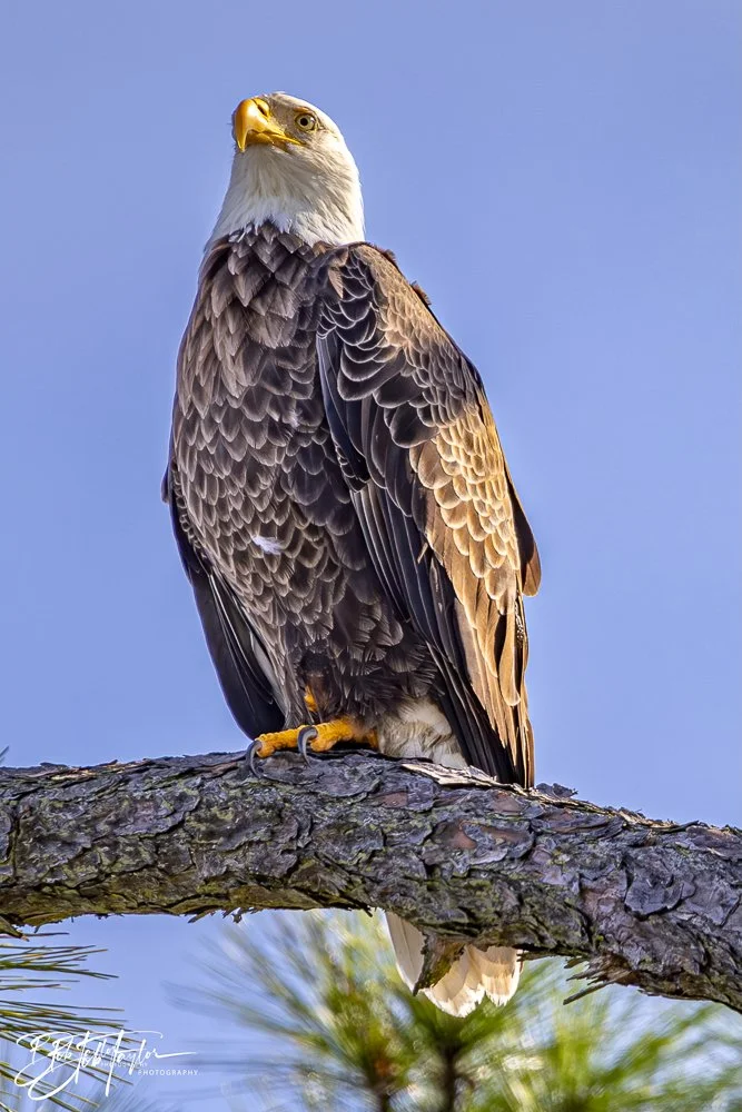 20231205-SASP 2023 -299.jpg