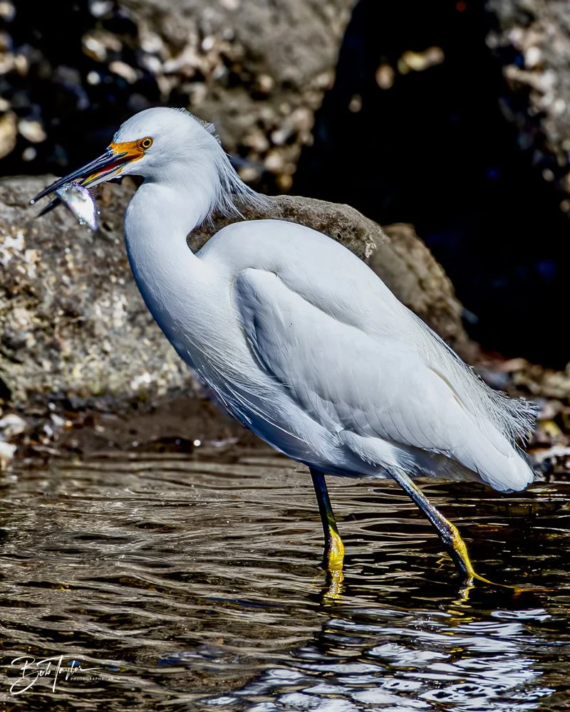 20231128-SASP 2023 -260.jpg