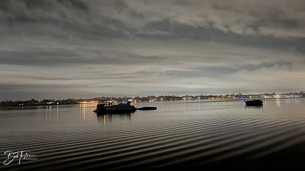 20231203-SASP 2023 -282.jpg