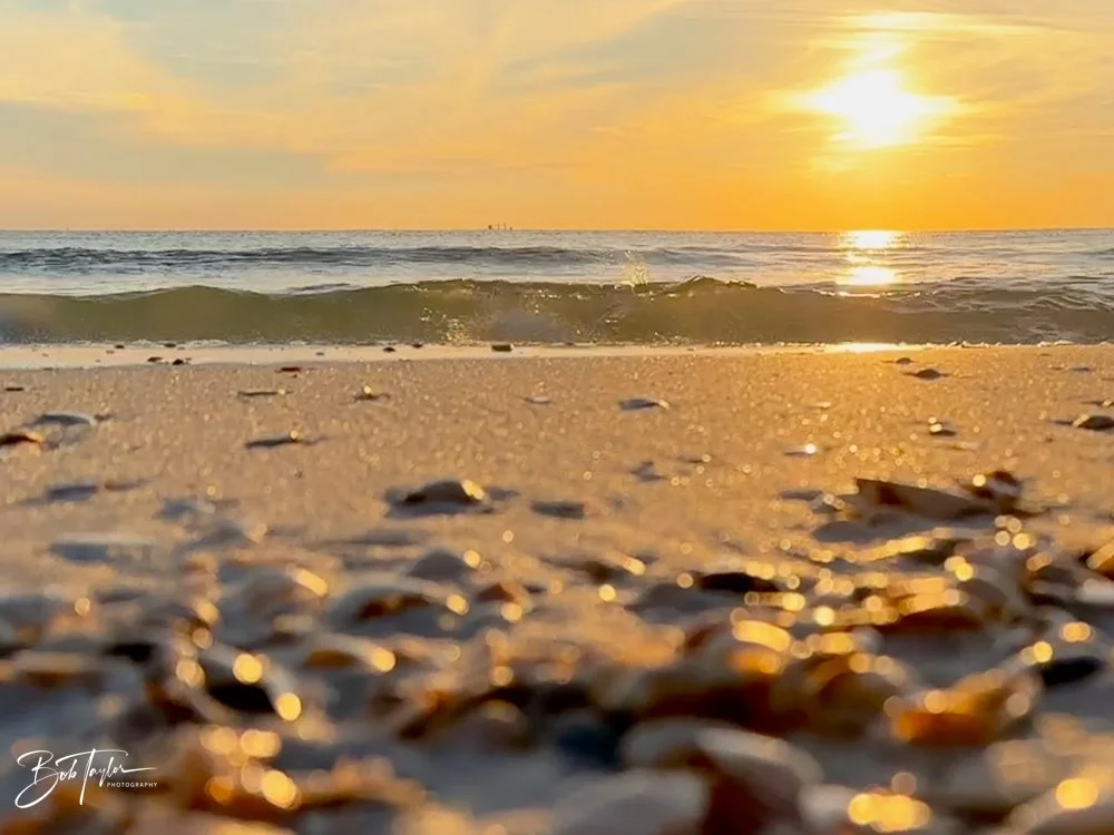 20231206-SASP 2023 -314.jpg