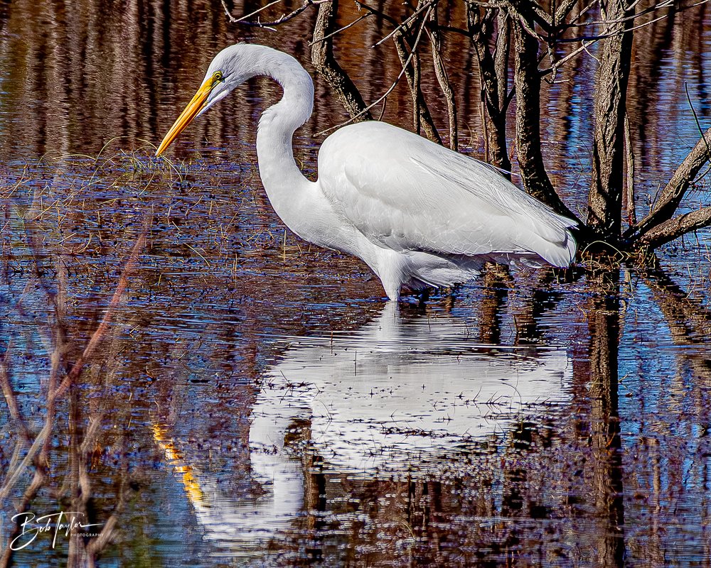 20231128-SASP 2023 -258.jpg