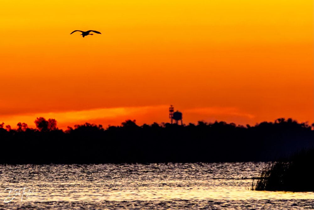 20231207-SASP 2023 -328.jpg