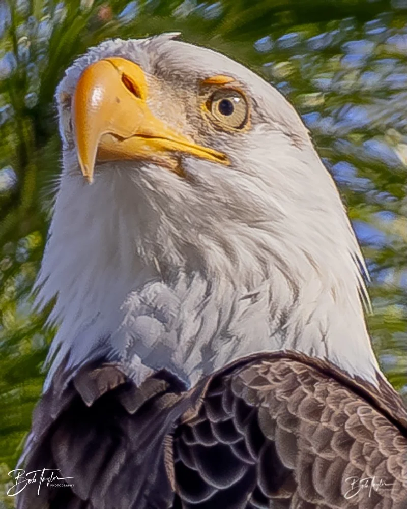 20231205-SASP 2023 -296.jpg