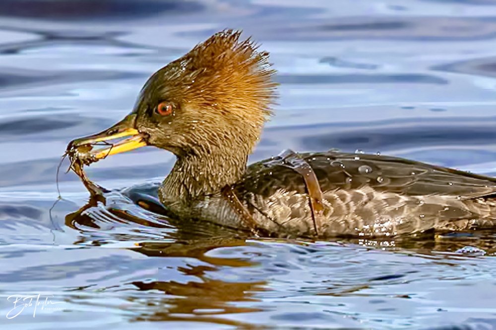 20231205-SASP 2023 -288.jpg