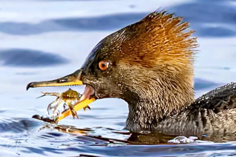 20231205-SASP 2023 -285.jpg