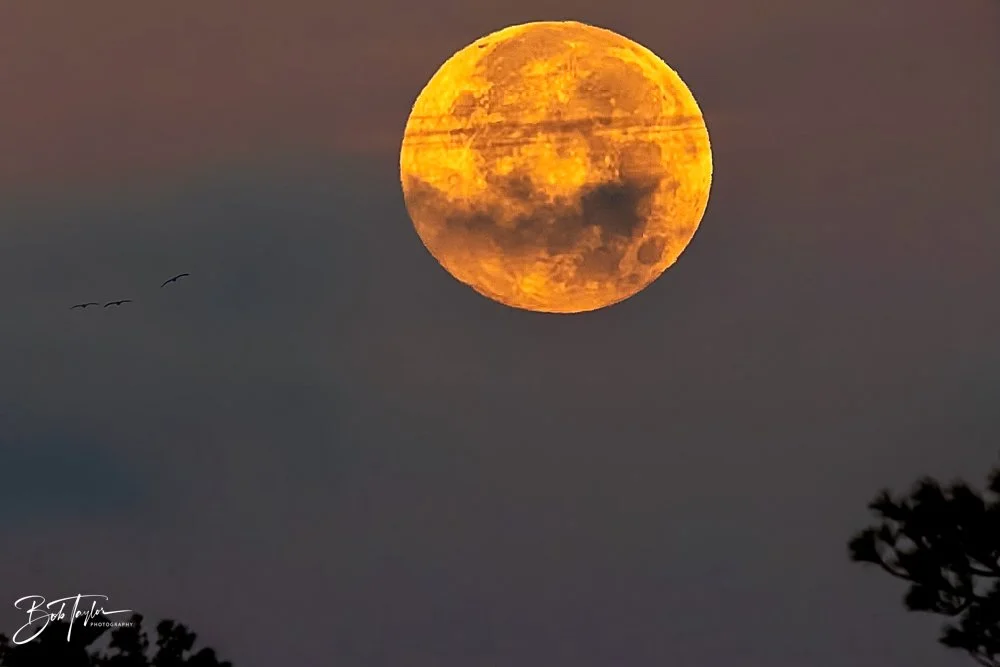 20231127-SASP 2023 -231.jpg