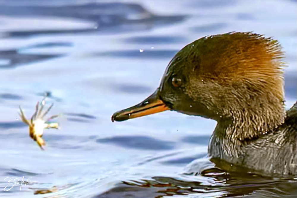 20231205-SASP 2023 -286.jpg