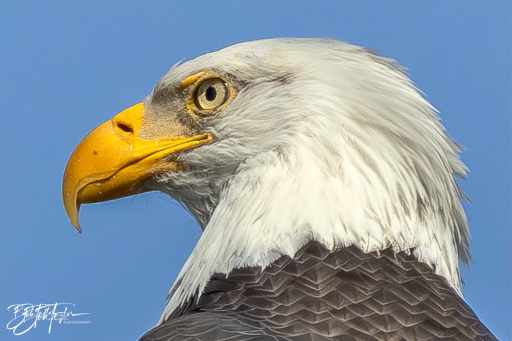 20231205-SASP 2023 -291.jpg