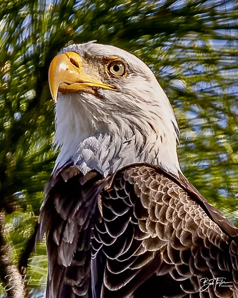 20231205-SASP 2023 -295.jpg