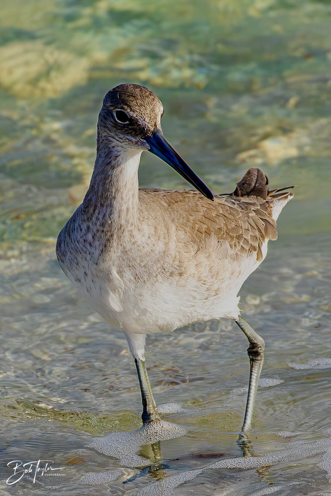 20231127-SASP 2023 -241.jpg