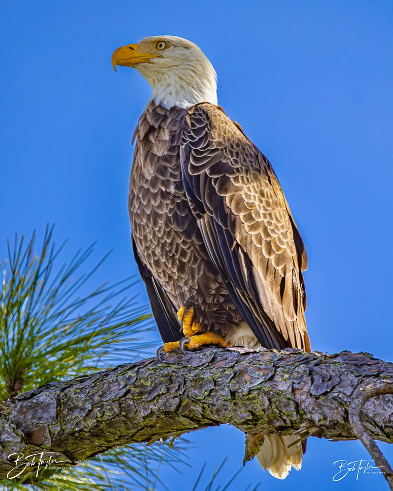 20231205-SASP 2023 -307.jpg