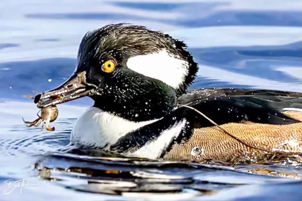 20231205-SASP 2023 -289.jpg