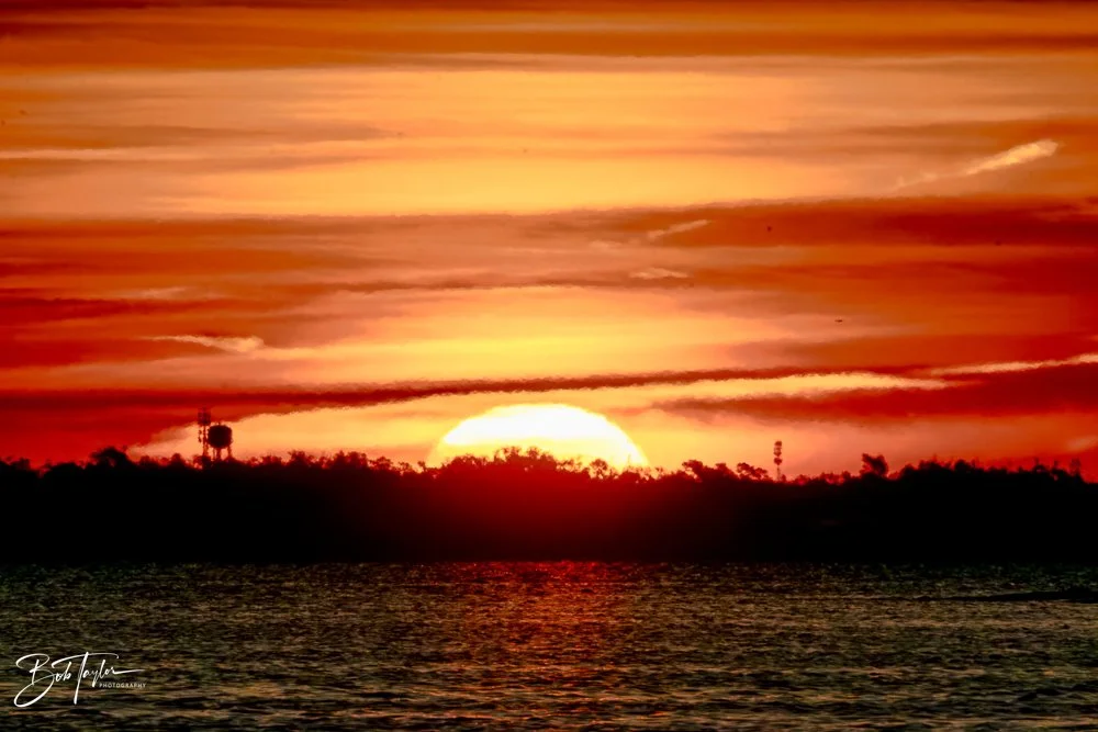 20231207-SASP 2023 -329.jpg