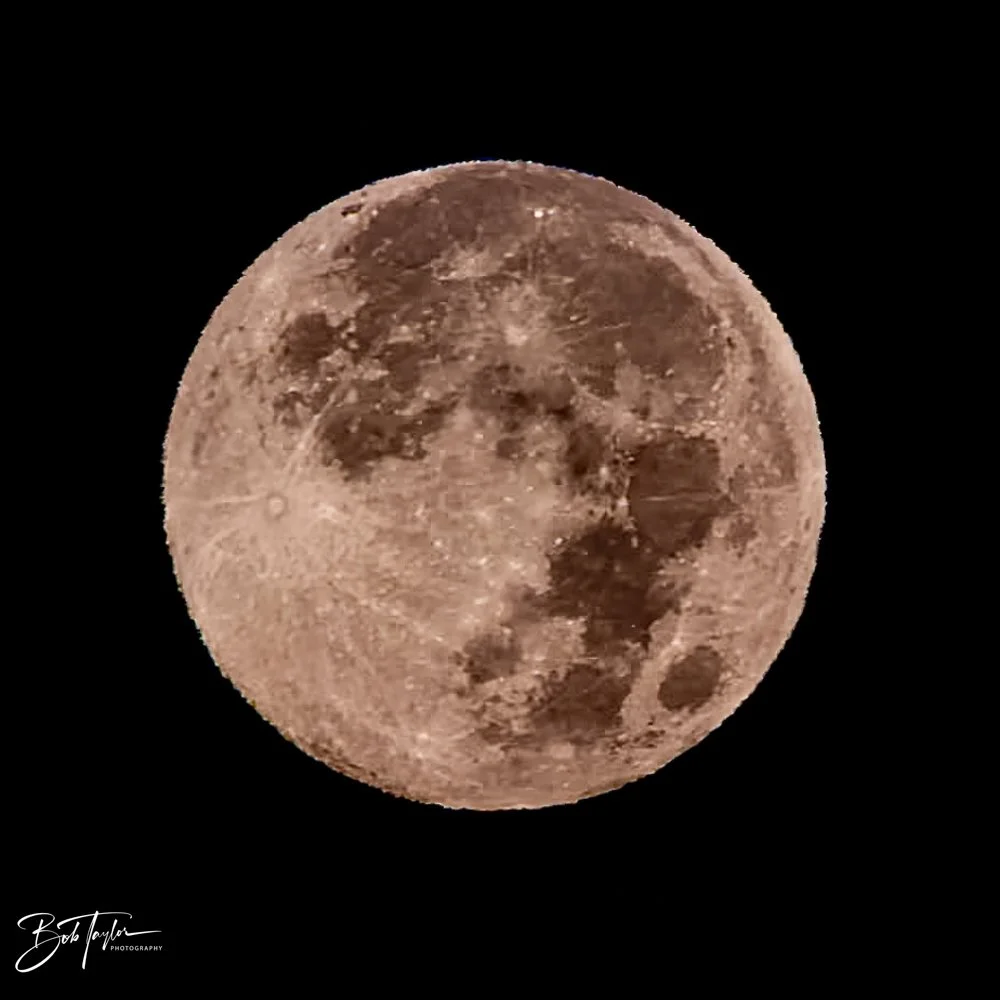 20231127-SASP 2023 -225.jpg