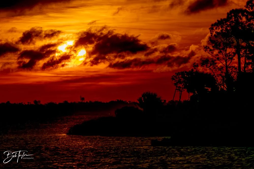 20231127-SASP 2023 -233.jpg