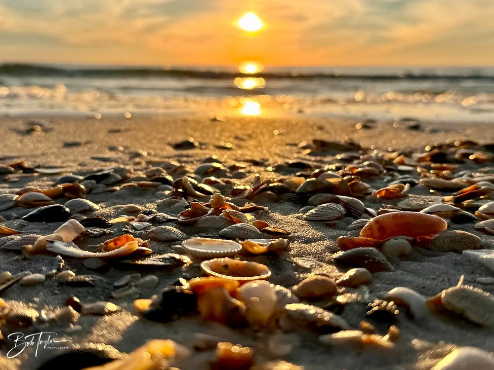 20231206-SASP 2023 -312.jpg