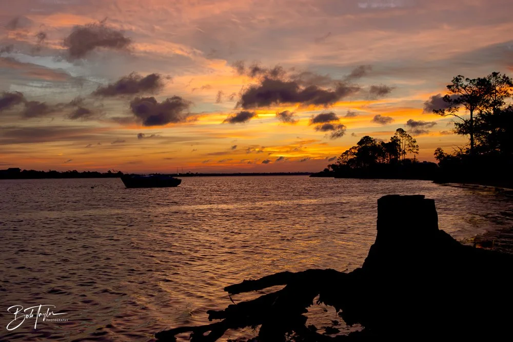 20231127-SASP 2023 -226.jpg