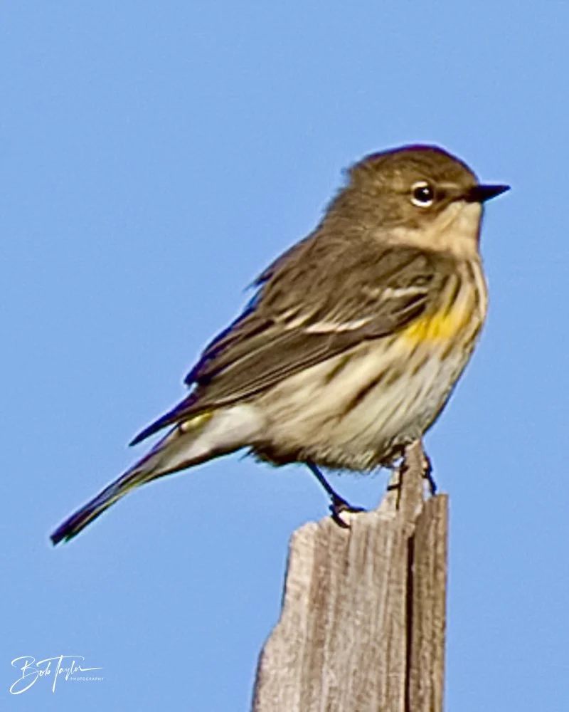 20231127-SASP 2023 -243.jpg