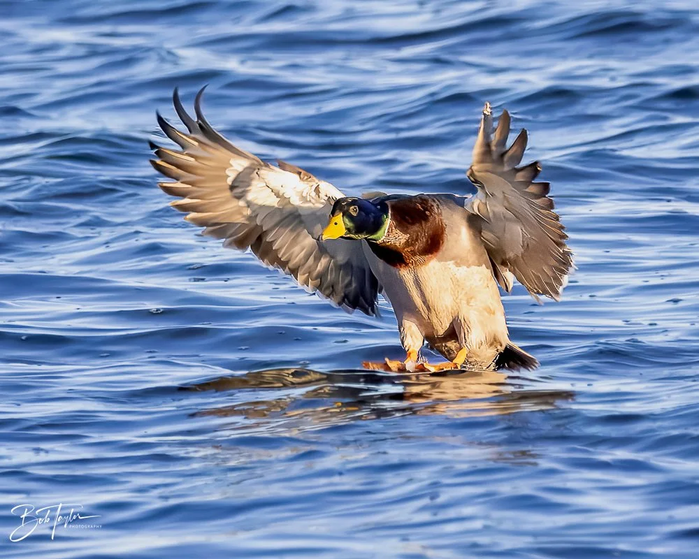 20231127-SASP 2023 -251.jpg