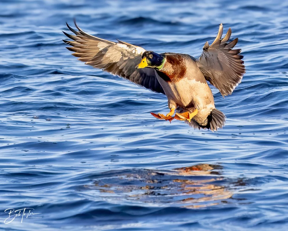 20231127-SASP 2023 -250.jpg