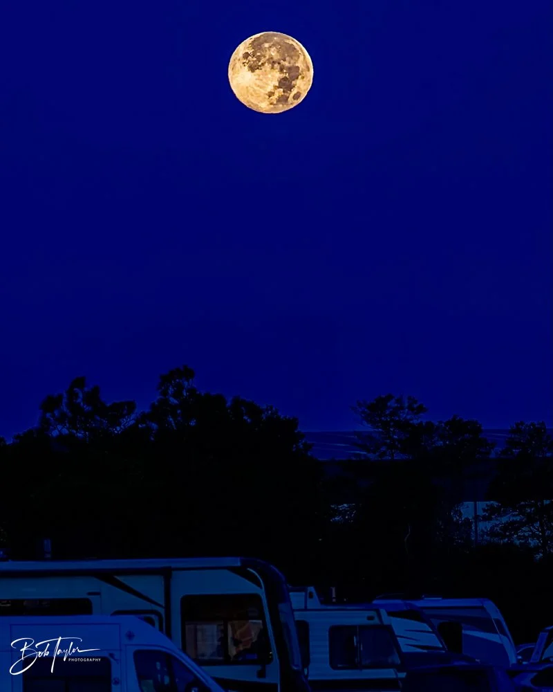 20231127-SASP 2023 -228.jpg