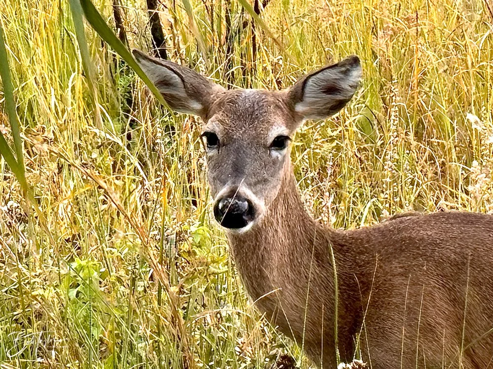 20231201-SASP 2023 -280.jpg