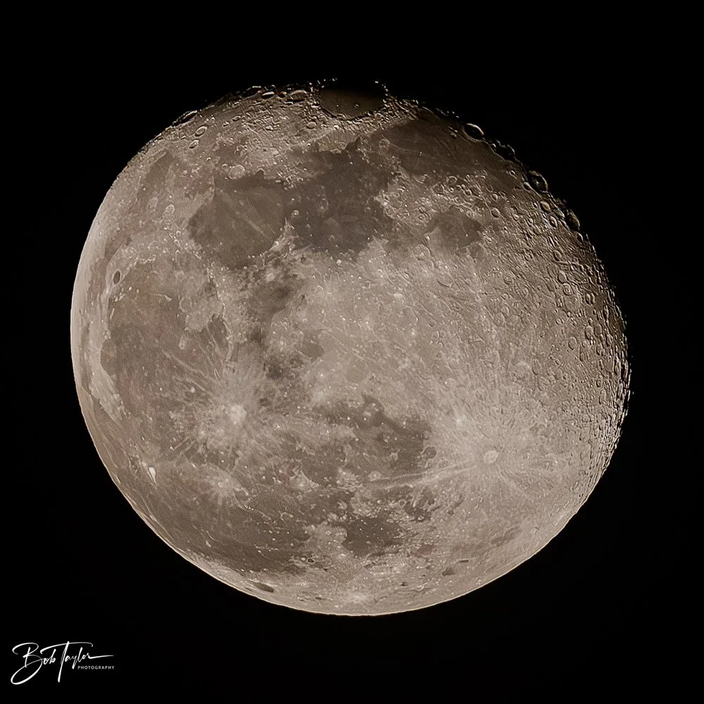 20231129-SASP 2023 -278.jpg