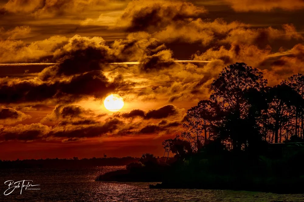 20231127-SASP 2023 -234.jpg