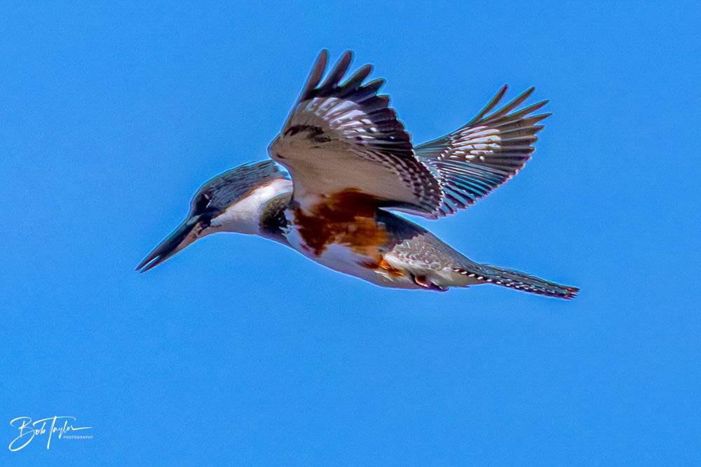 20231127-SASP 2023 -236.jpg