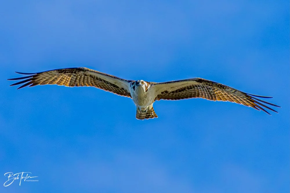 20231127-SASP 2023 -239.jpg