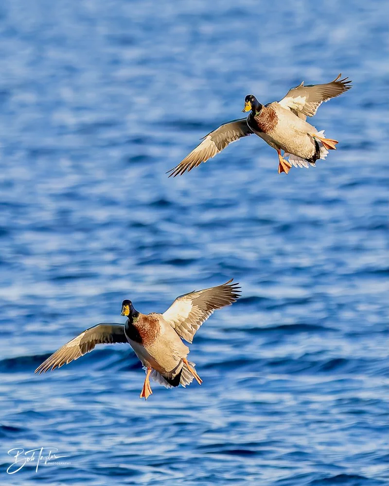 20231127-SASP 2023 -249.jpg