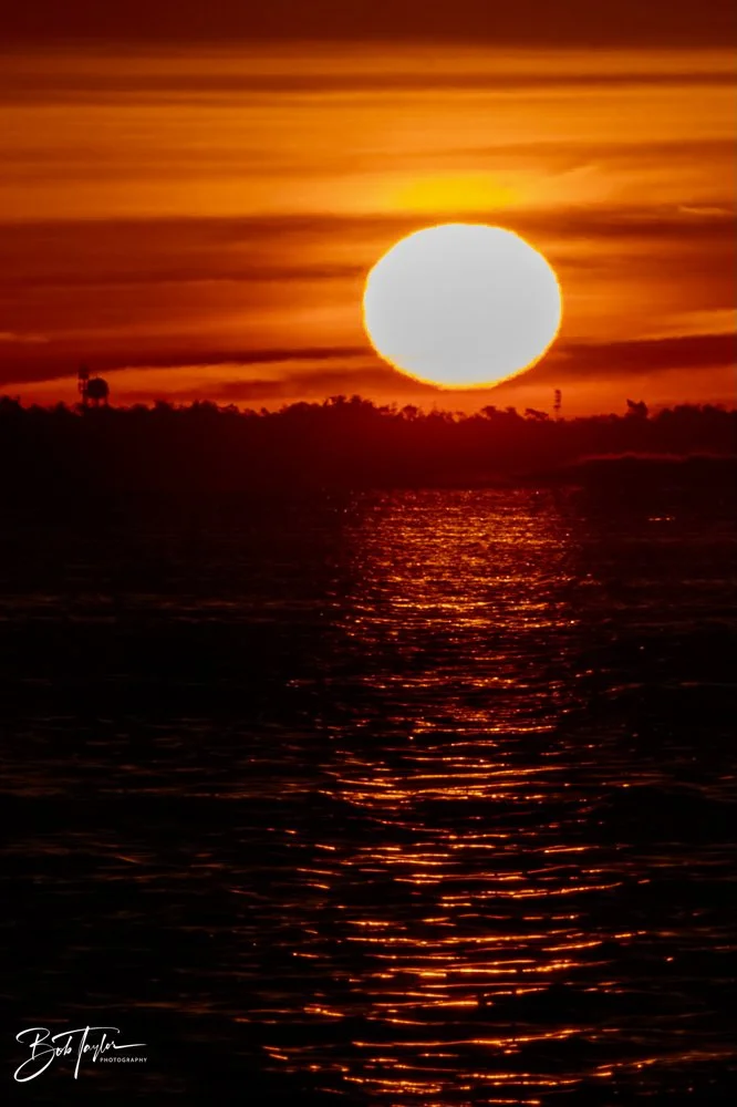 20231207-SASP 2023 -331.jpg