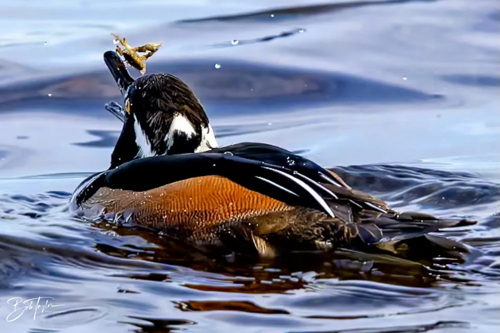 20231205-SASP 2023 -287.jpg