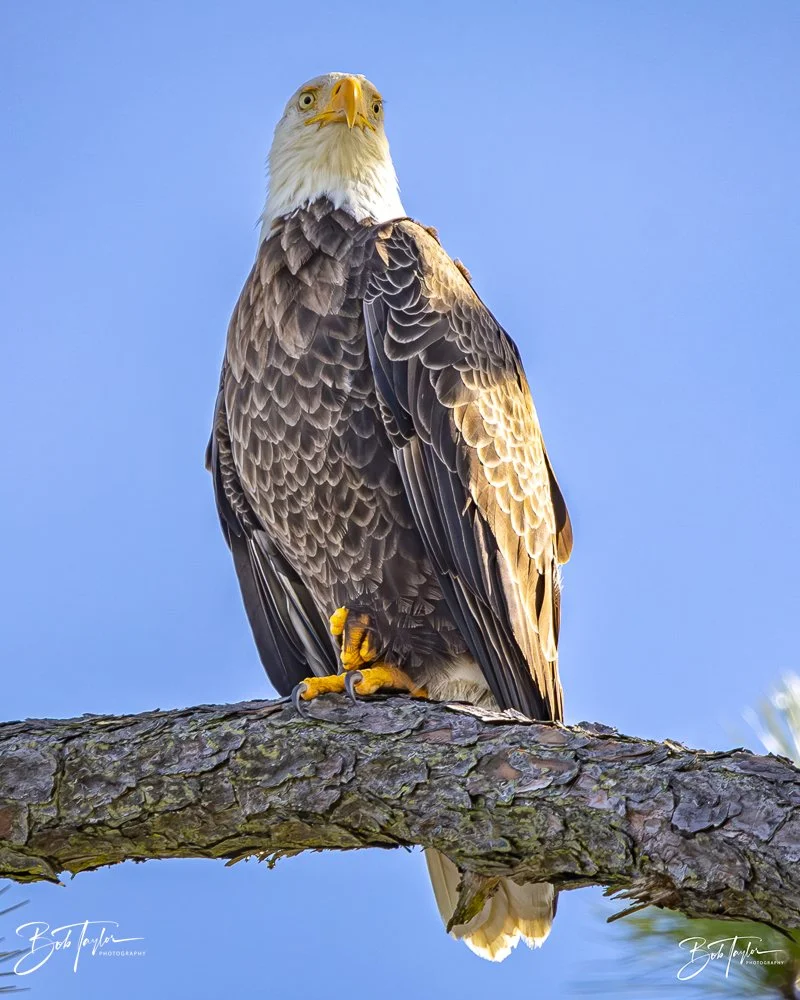 20231205-SASP 2023 -305.jpg