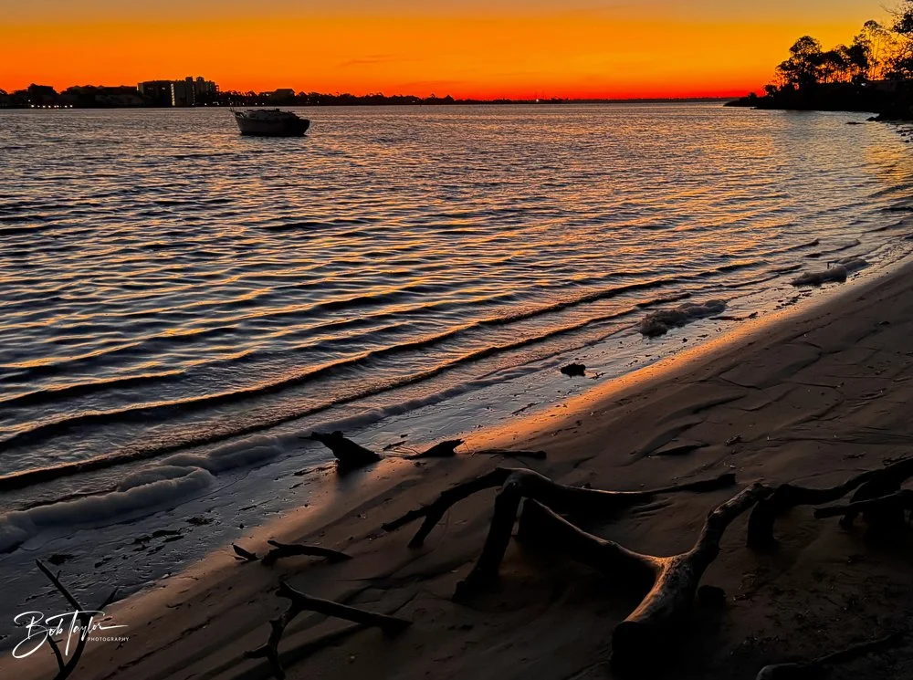 20231207-SASP 2023 -325.jpg