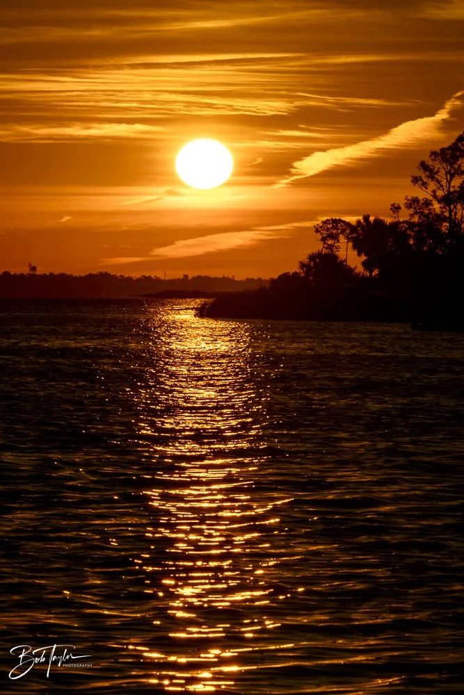 20231207-SASP 2023 -332.jpg